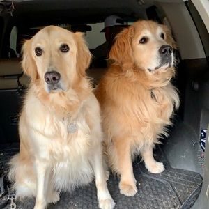 Meet your Posher, Matthew